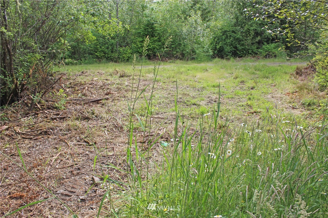 0 Hurst Road Toledo, WA 98591 - Photo 9 of 24 Gallery Image 9