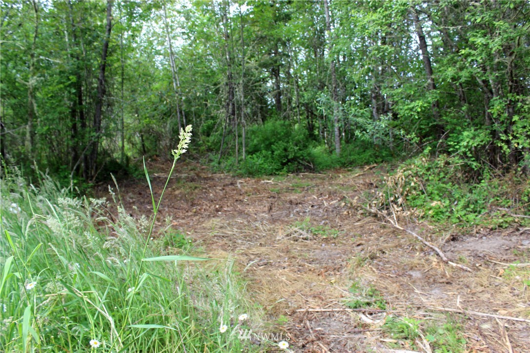 0 Hurst Road Toledo, WA 98591 - Photo 10 of 24 Gallery Image 10