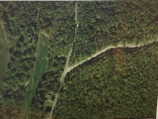59 Richhill Road Whitney Point, NY 13862 - Photo 4 of 5