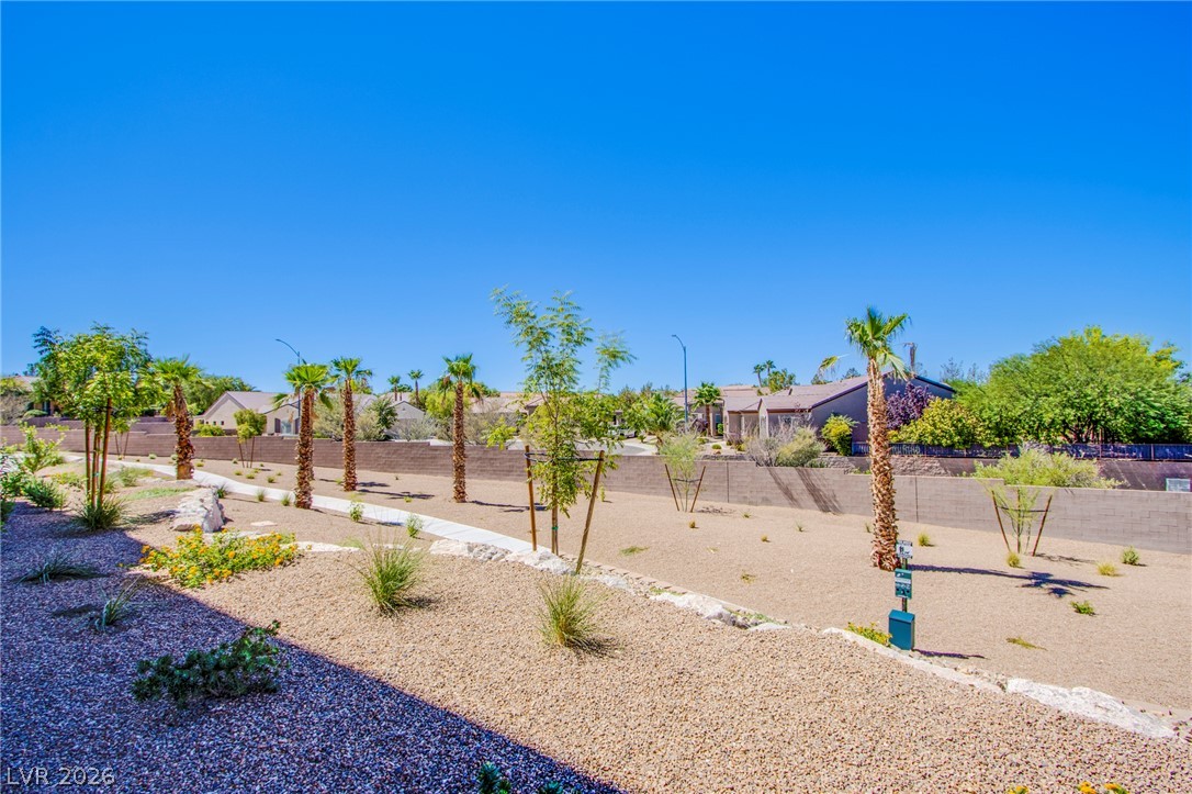 Lush desert plantings and towering palm trees landscape this low-maintenance gravel yard.
