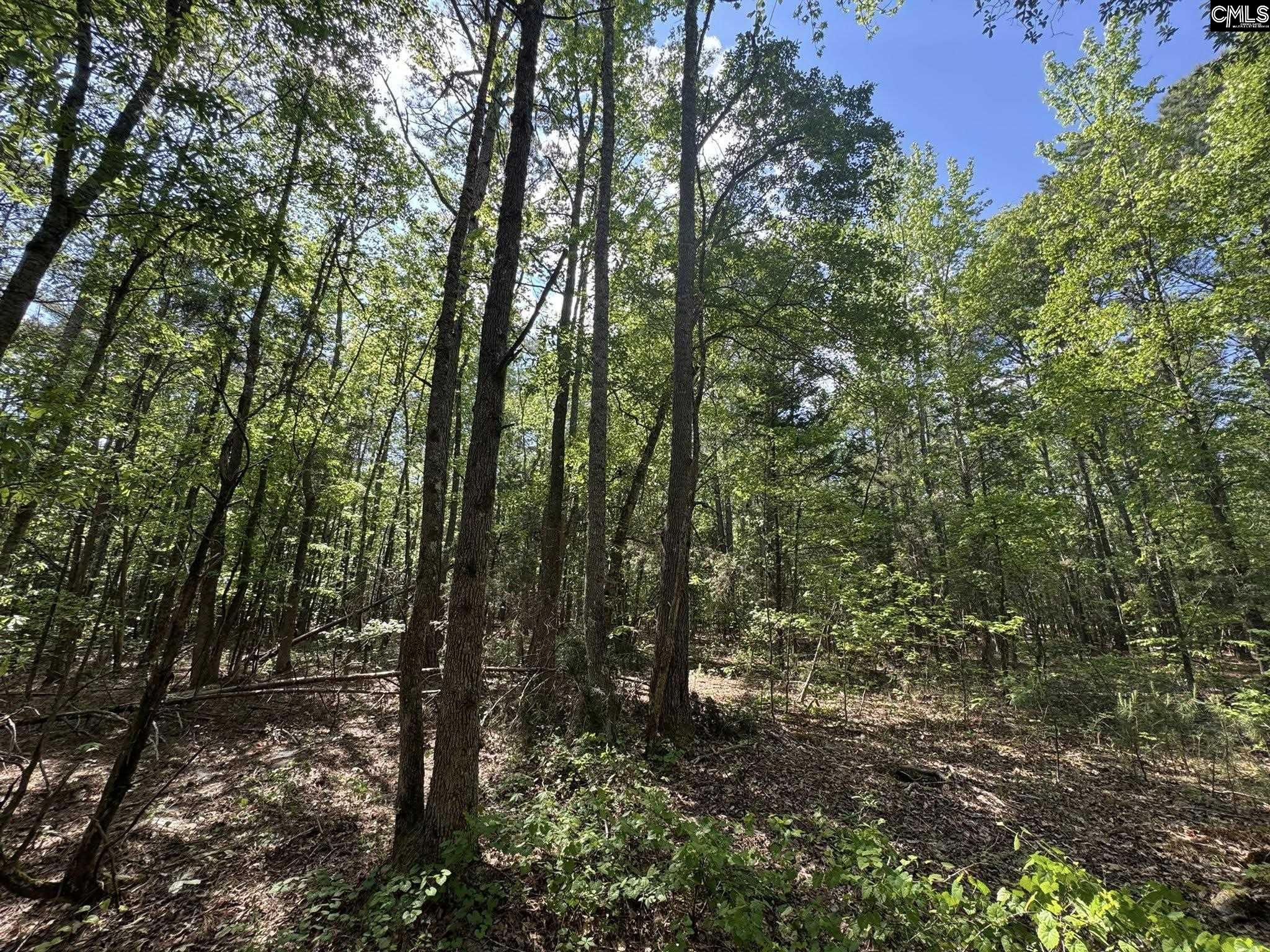 76 West W Highway Honea Path, SC 29654 - Photo 23 of 35