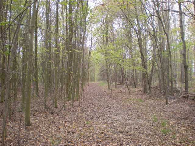 3284 North Old State Road Delaware, OH 43015 - Photo 7 of 9