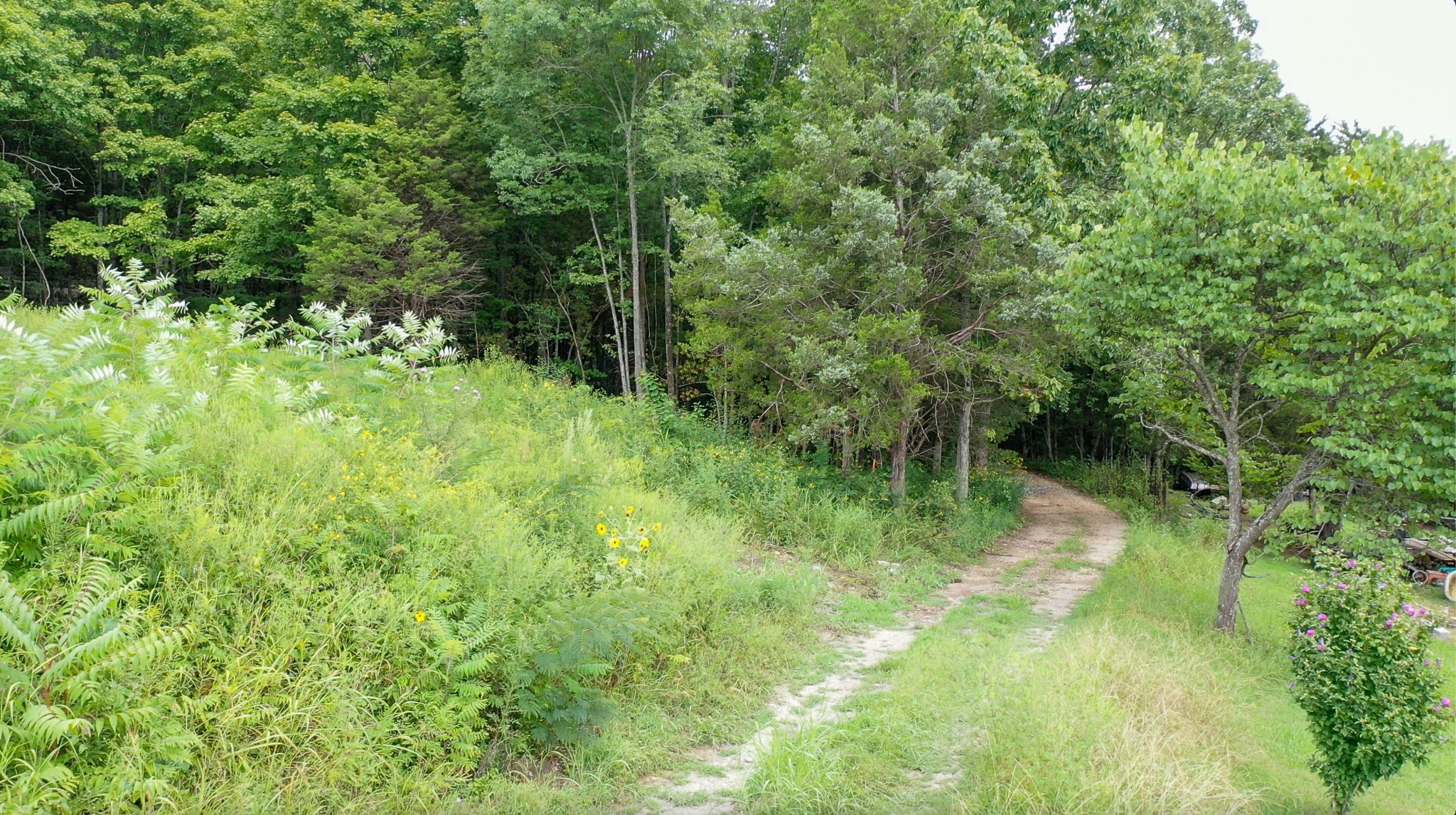 0 Bailey Road Decherd, TN 37324 - Photo 3 of 37 Gallery Image 3