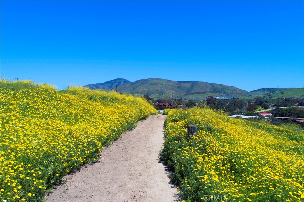 3502 Proctor Valley Road Bonita, CA 91902 - Photo 20 of 22 a view of a swimming pool with a yard
