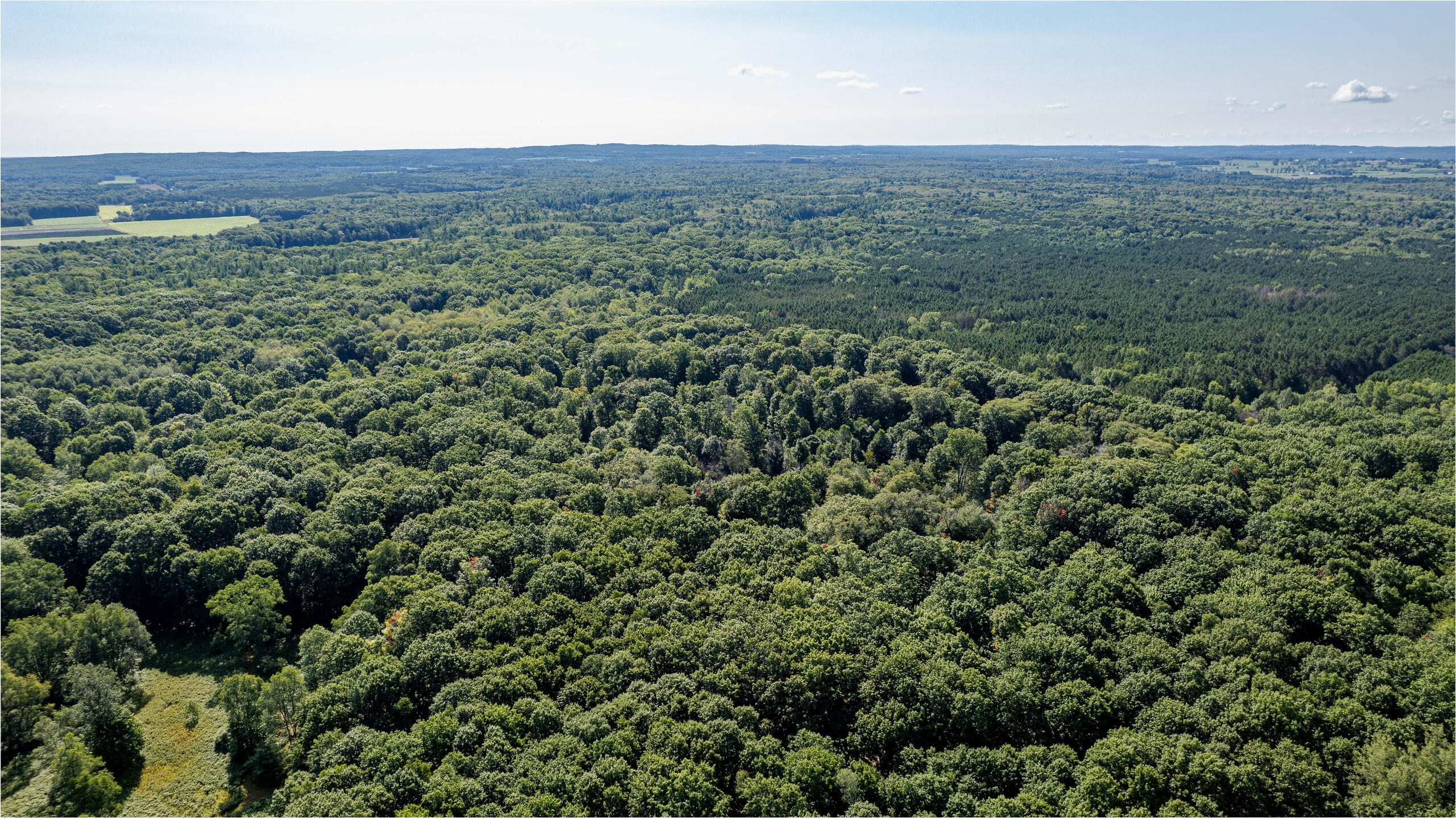 1245 West River Ridge Road Pentwater, MI 49449 - Photo 10 of 17 DJI_0986-HDR