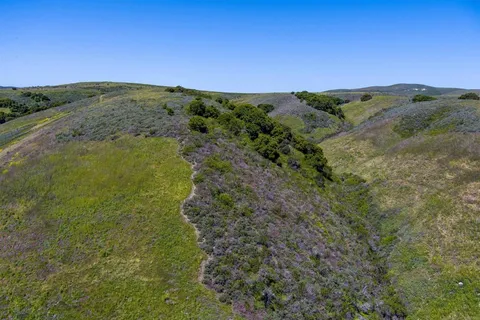 a view of a green field