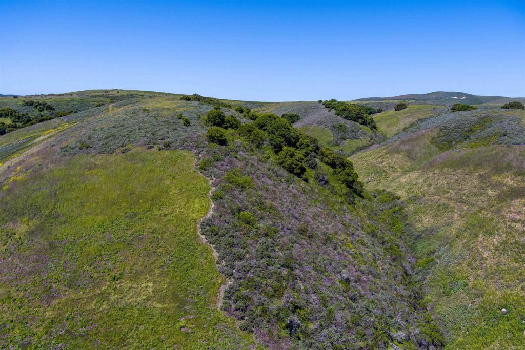 0 Sweeney Road Lompoc, CA 93436 - Photo 24 of 36 a view of a green field
