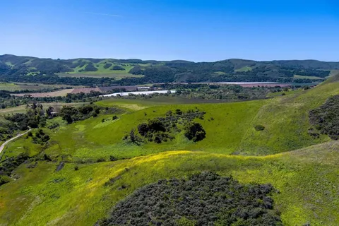 a view of a lush green hillside and houses