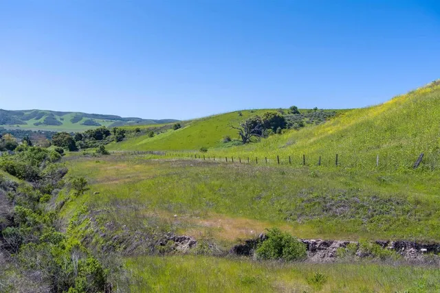 a view of a lake with a mountain in the background
