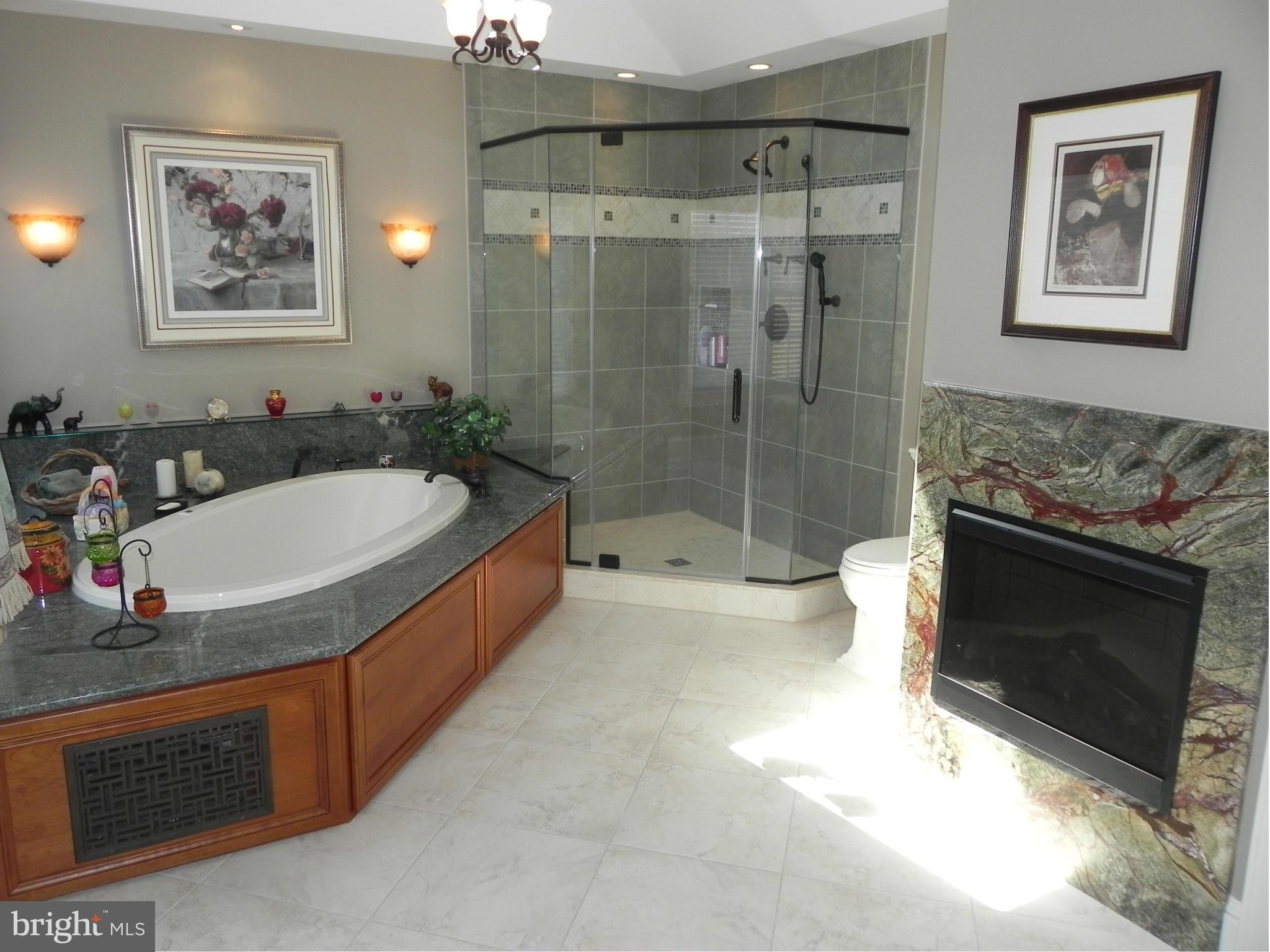 1230 Algonquin Road Crownsville, MD 21032 - Photo 24 of 30 Renovated master bath w/ FP,jetted soaking tub