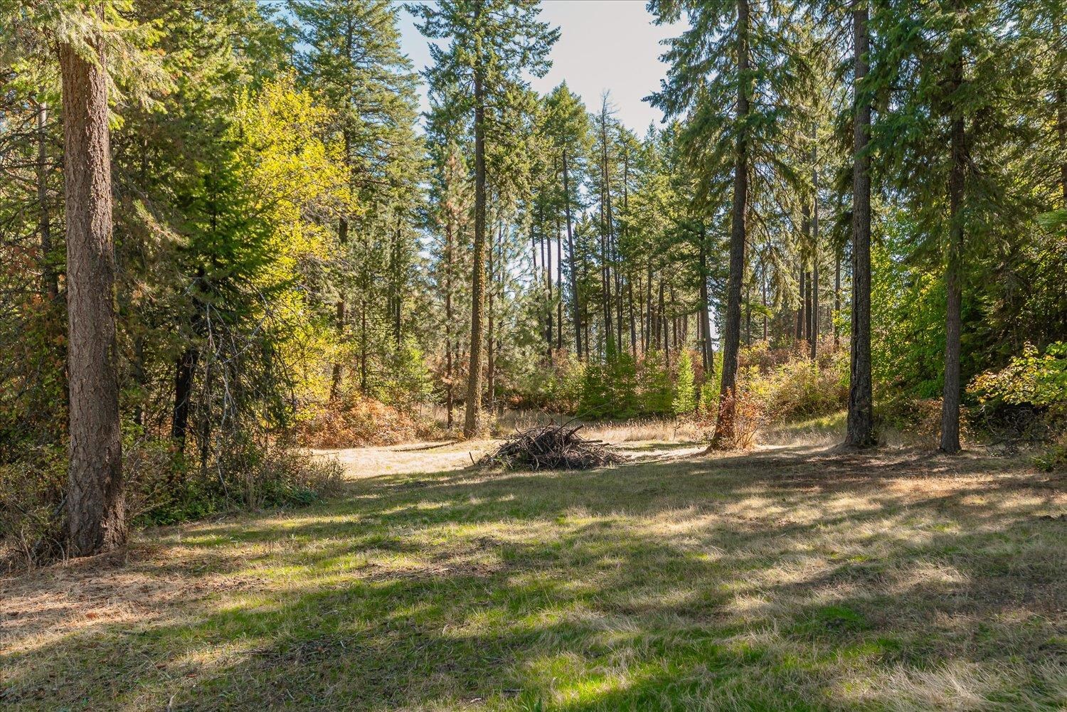 9608 East Ruff Lane Chattaroy, WA 99003 - Photo 18 of 25 Gallery Image 18