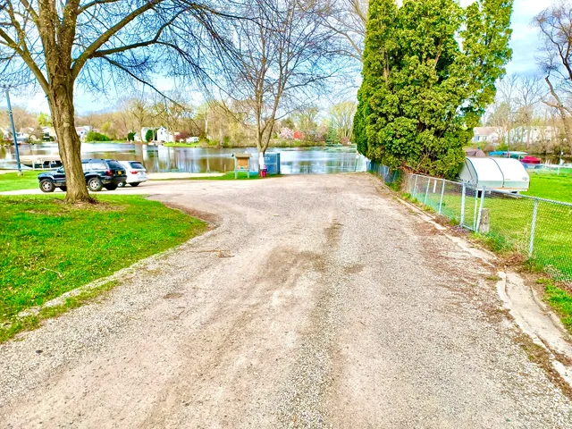 a street view with large trees