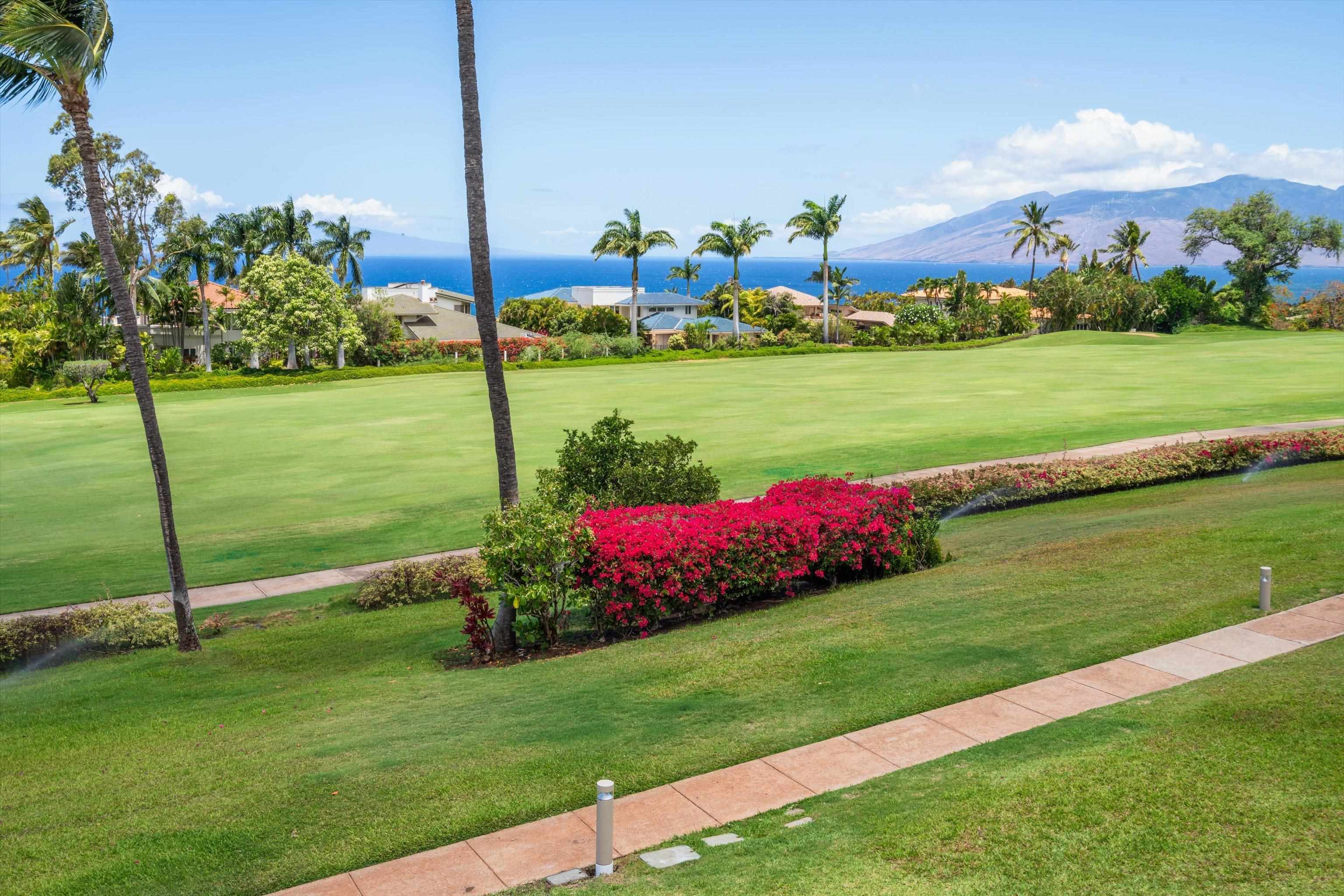 3950 Kalai Waa Street, Unit R 103 Kihei, HI 96753 - Photo 34 of 50 a view of a big yard with potted plants and palm trees