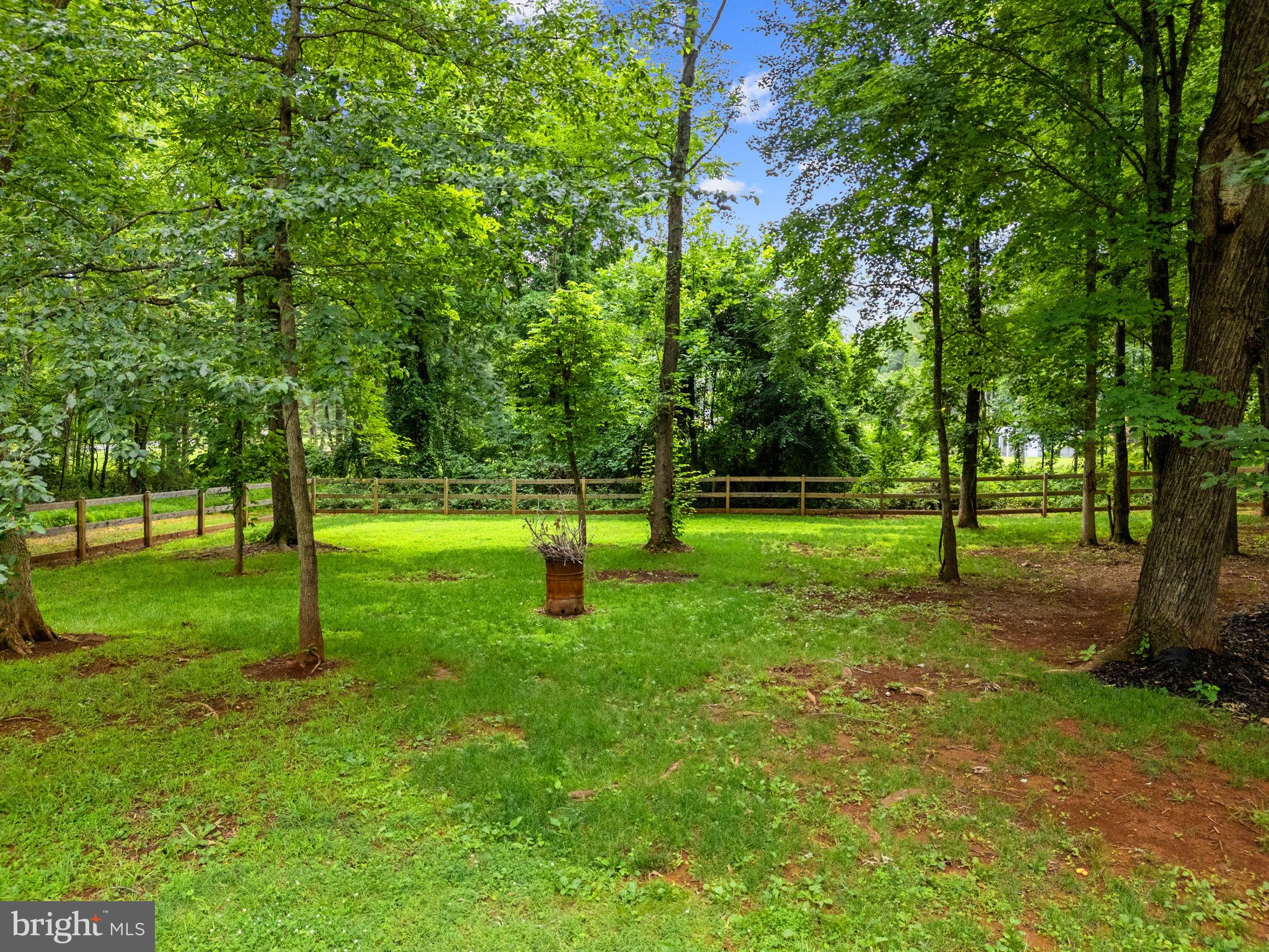 9448 Green Road Midland, VA 22728 - Photo 81 of 91 Rear Exterior
