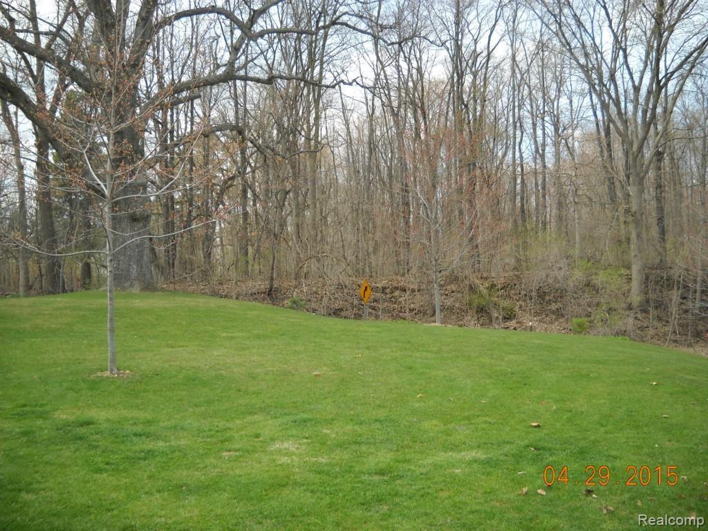 79464 Kidder Road Romeo, MI 48065 - Photo 11 of 33 DSCN5000.jpg