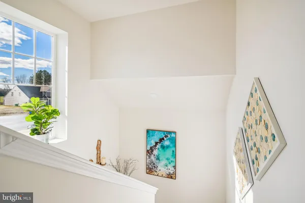 a view of small space with plants