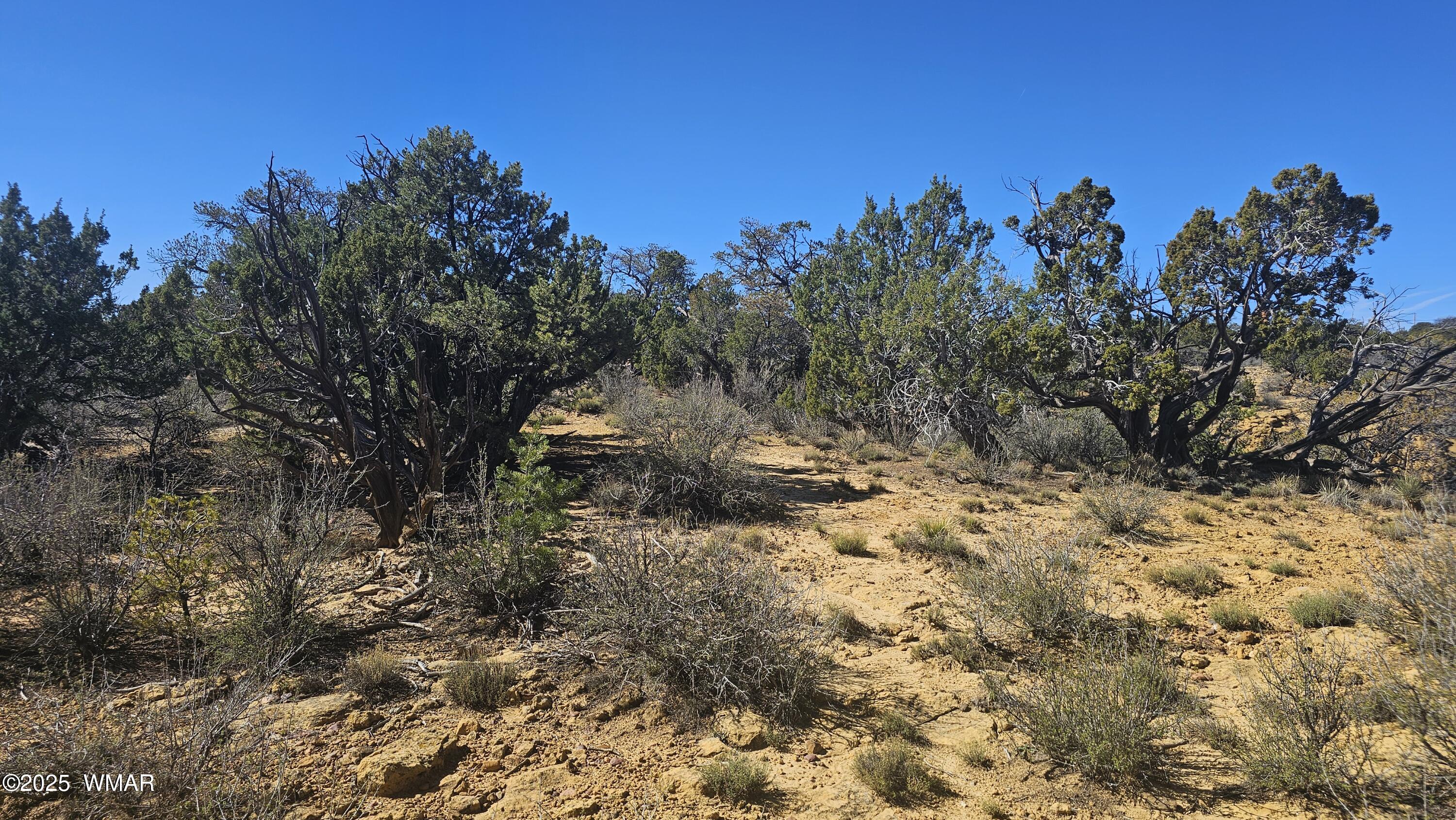 4 County Road Concho, AZ 85924 - Photo 18 of 28