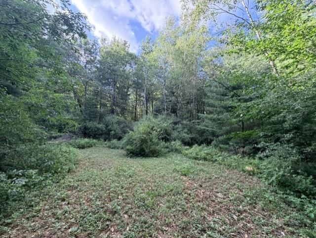 0 East Timreck Road, Unit LOT: B Tawas City, MI 48763 - Photo 8 of 10