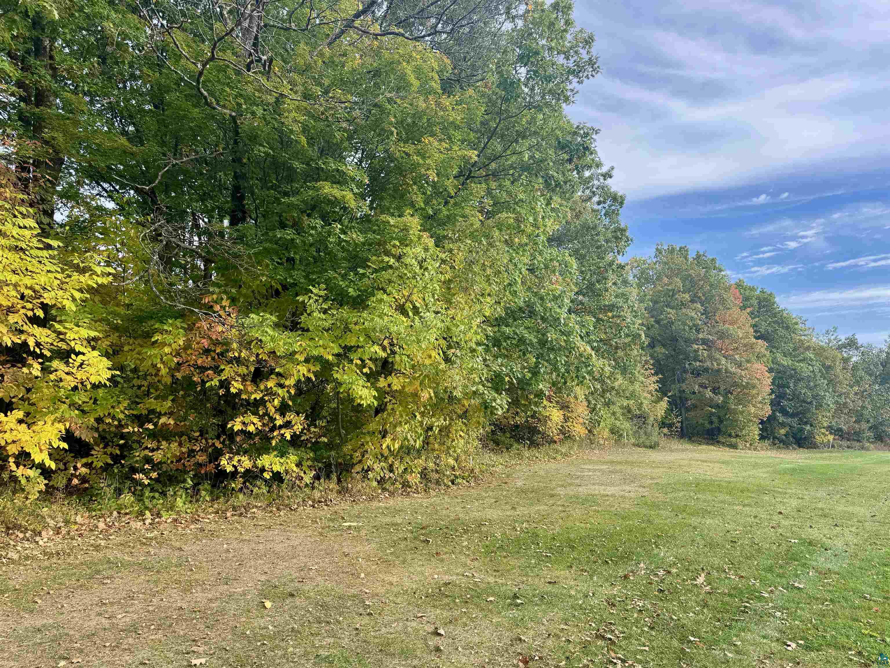 View of tree filled area