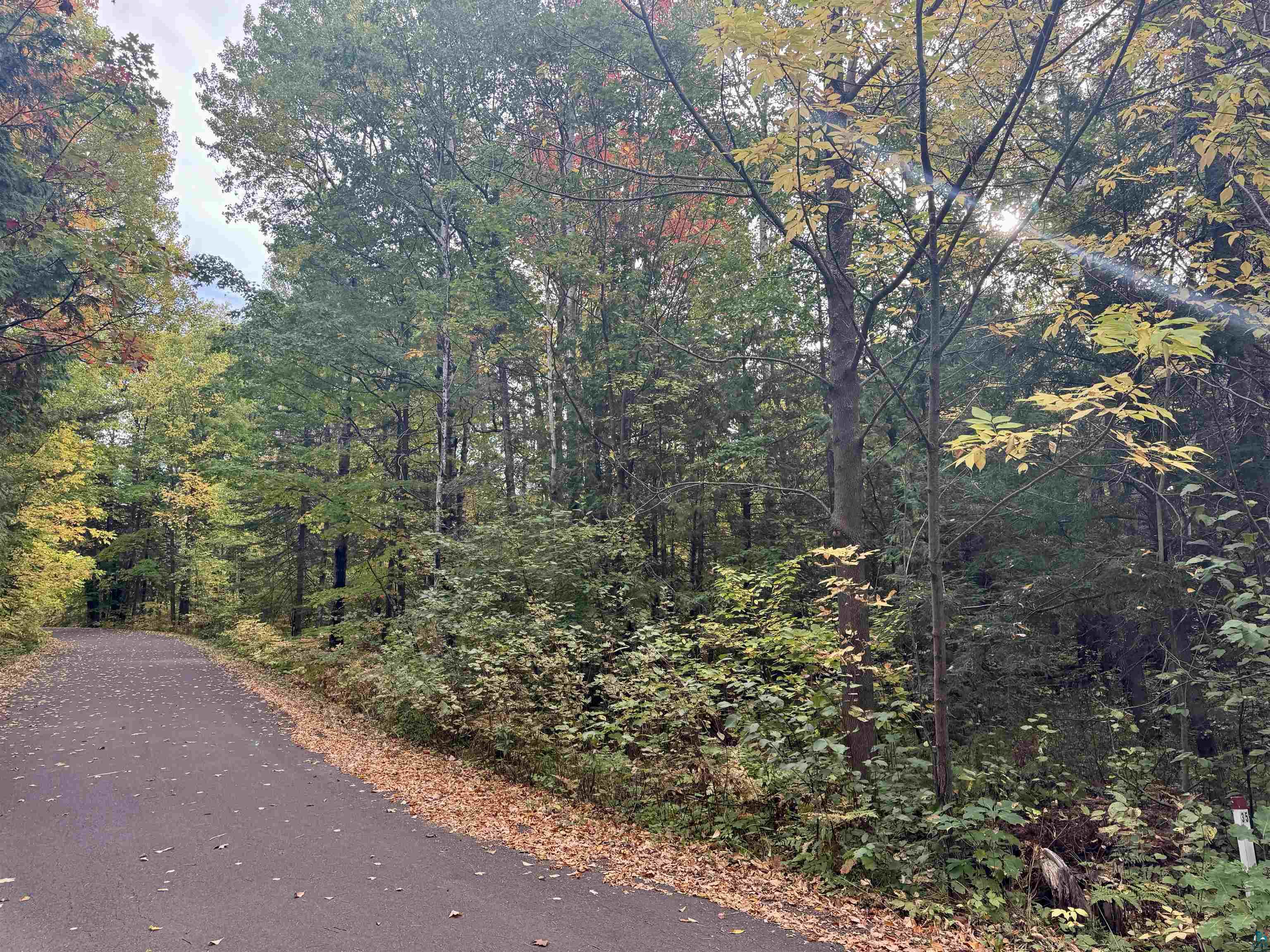 Tbd Eagle Run Bayfield, WI 54814 - Photo 2 of 8 View of road with a view of trees