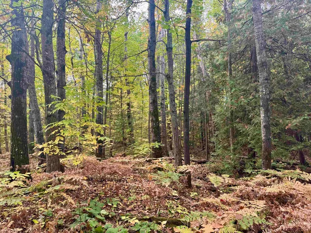 $47,000 | Tbd Eagle Run, Bayfield, WI 54814