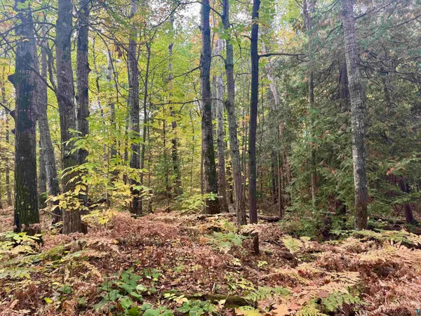 $47,000 | Tbd Eagle Run, Bayfield, WI 54814