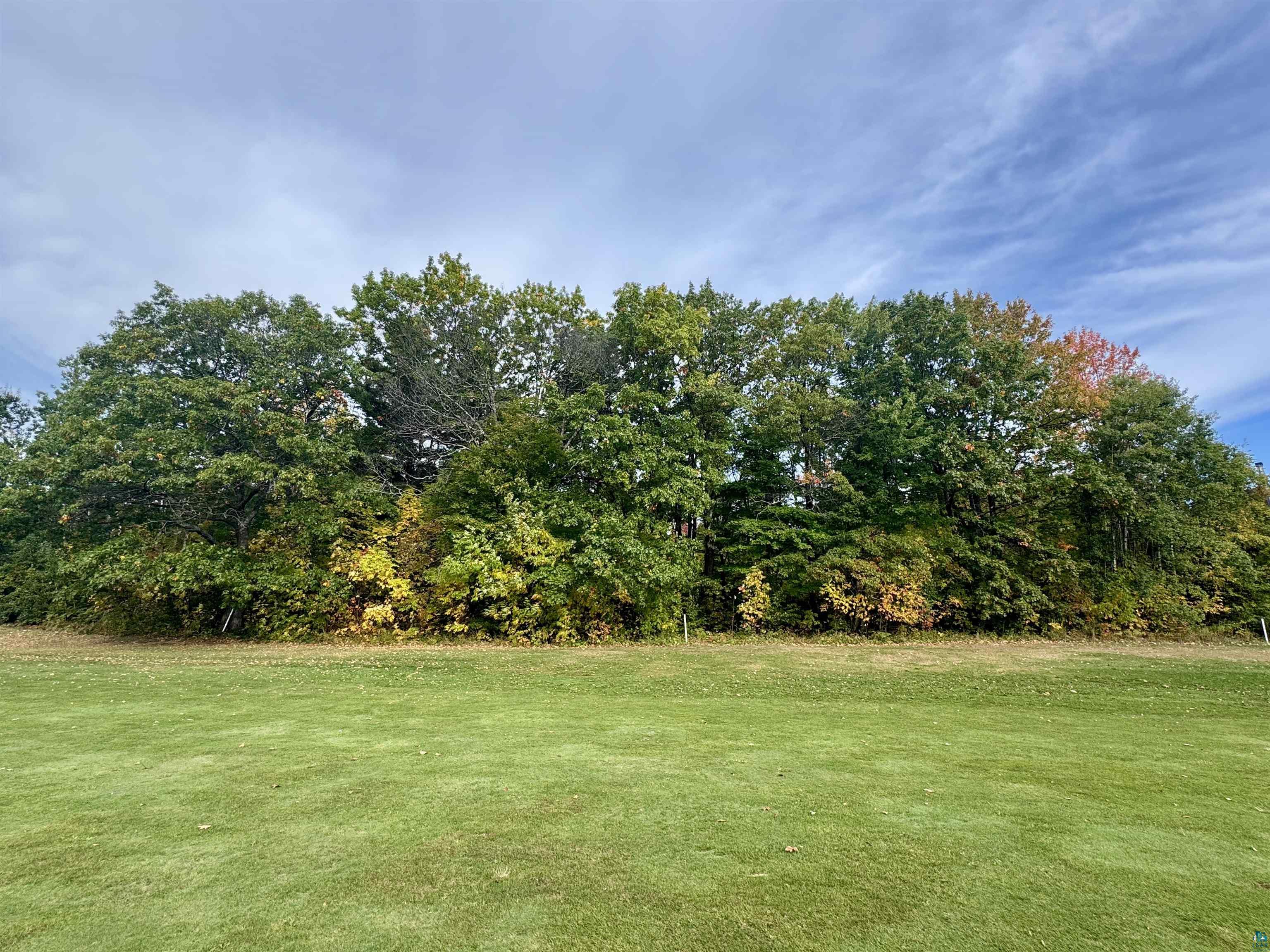 Tbd Eagle Run Bayfield, WI 54814 - Photo 5 of 8 View of grassy yard