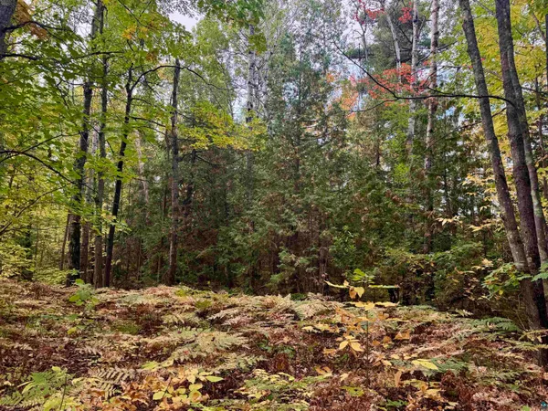 $47,000 | Tbd Eagle Run, Bayfield, WI 54814