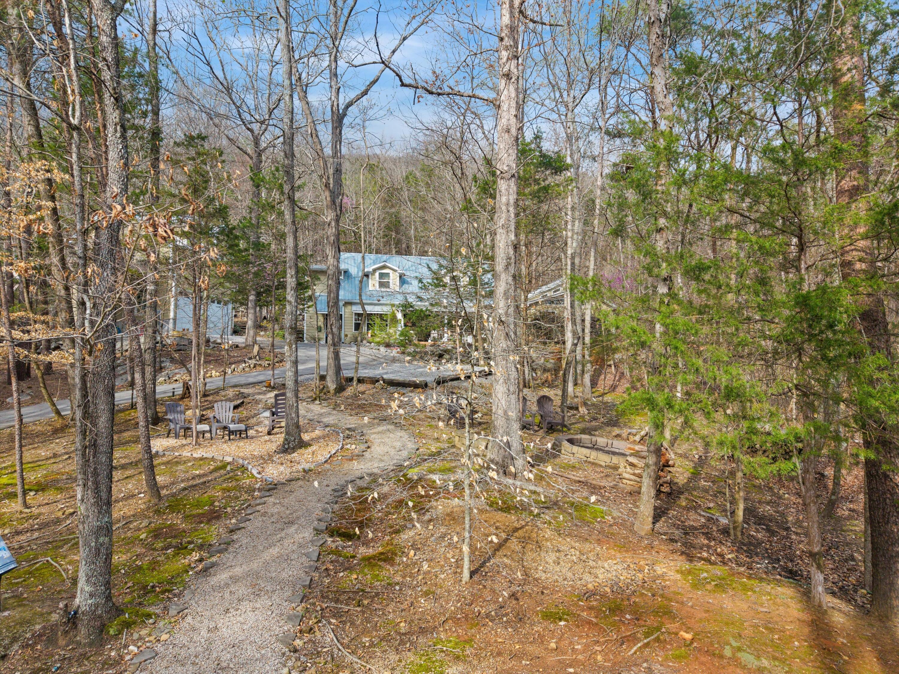 453 Antler Drive Rising Fawn, GA 30738 - Photo 4 of 58 04-DJI_20260311170102_0415_D