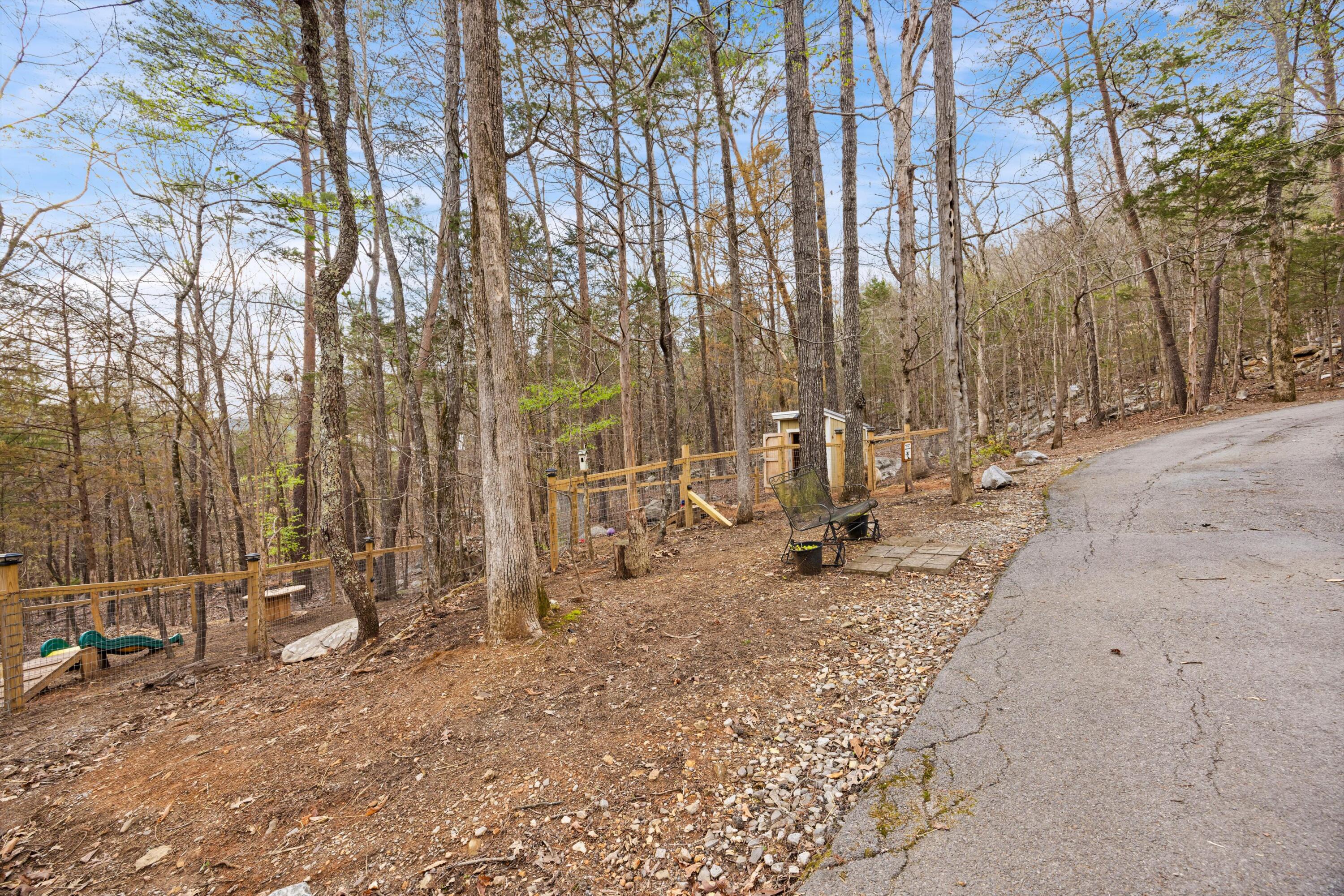 453 Antler Drive Rising Fawn, GA 30738 - Photo 52 of 58 52-090A9781