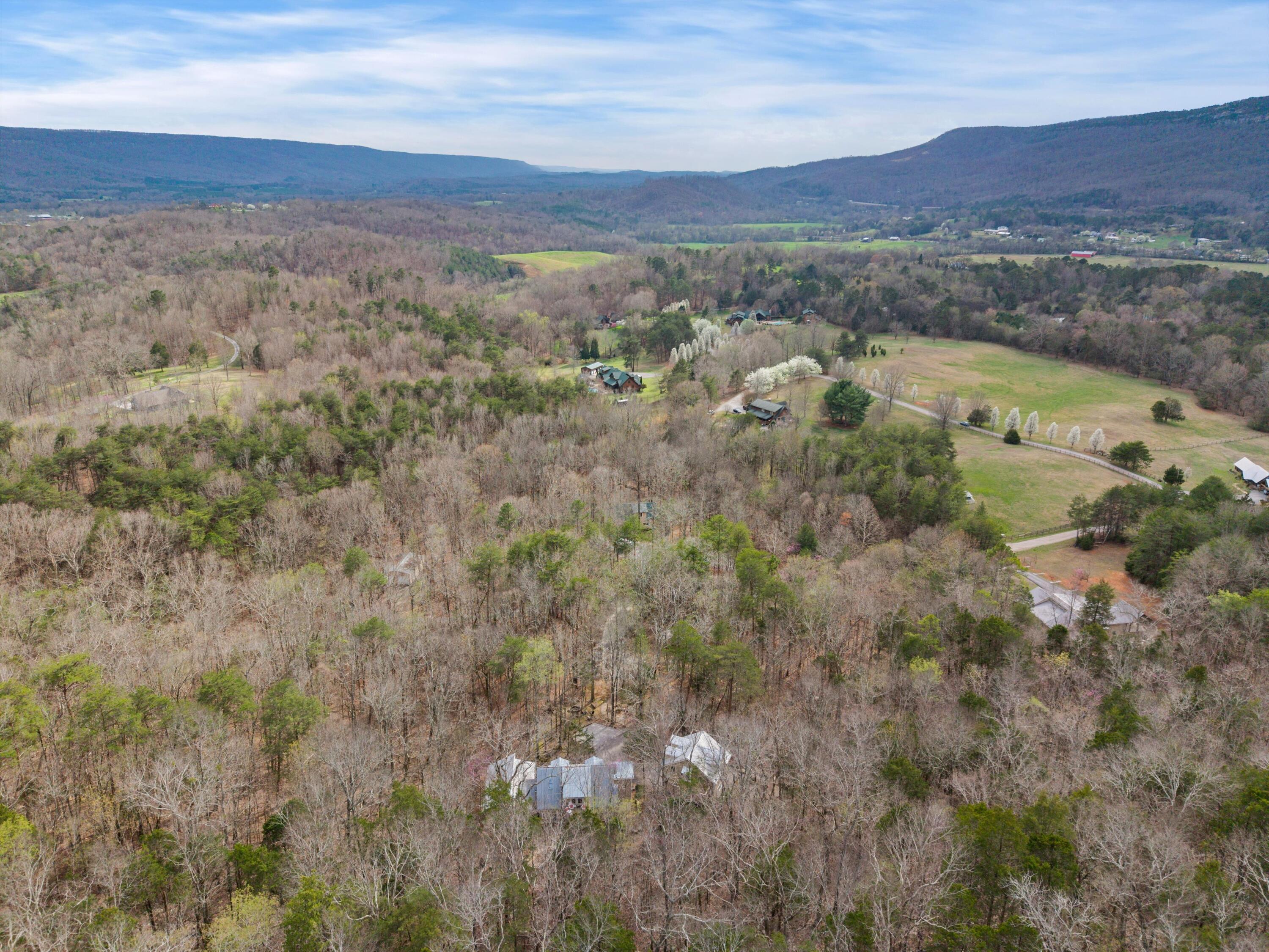 453 Antler Drive Rising Fawn, GA 30738 - Photo 56 of 58 56-DJI_20260311170301_0430_D