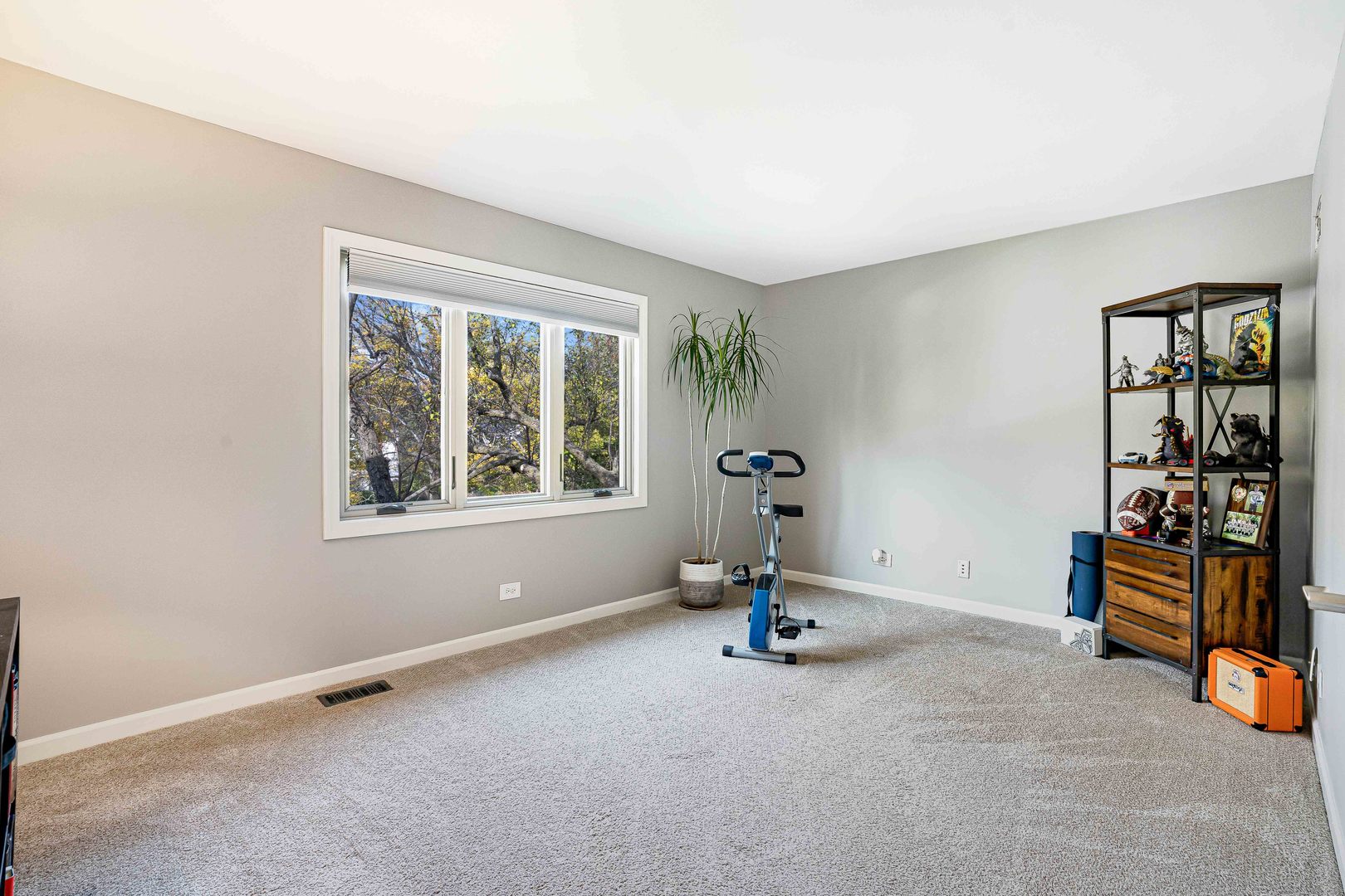 406 Sagebrush Road Naperville, IL 60565 - Photo 36 of 50 Gallery Image 36