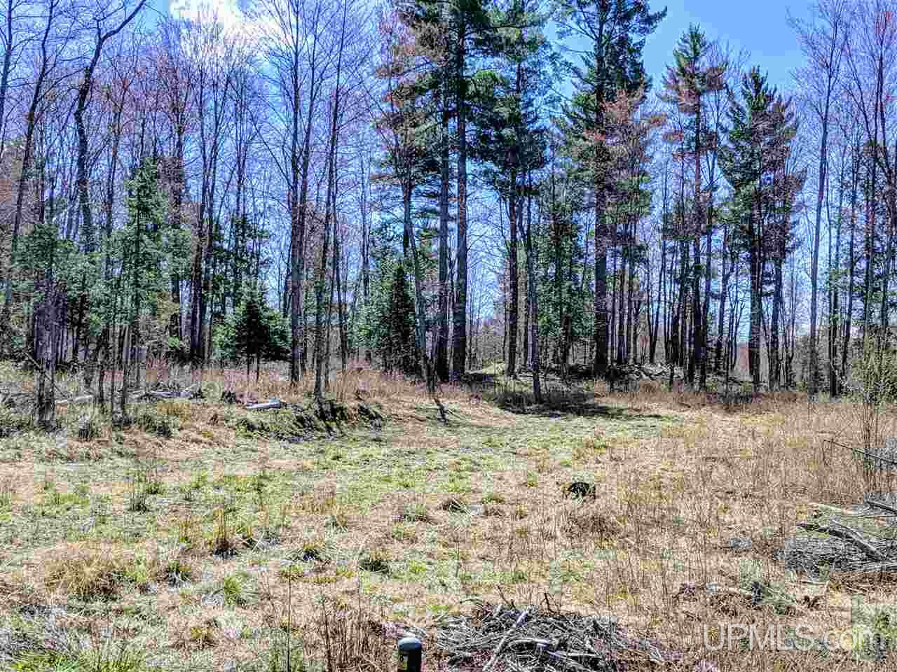 20-acres Ottawa Lake Road Iron River, MI 49935 - Photo 2 of 11