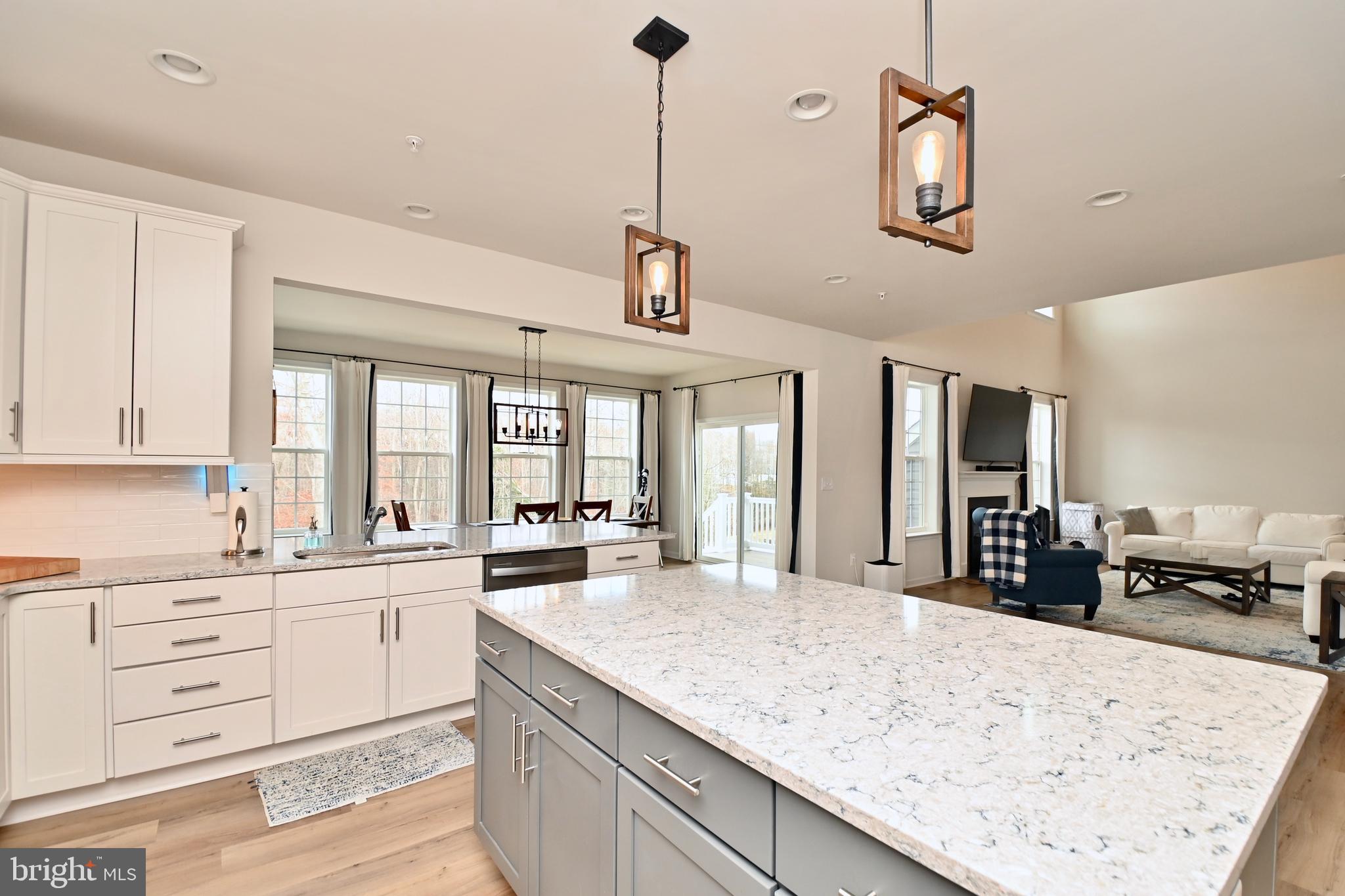 6603 Timber Ridge Lane Bryans Road, MD 20616 - Photo 18 of 55 Gormet Kitchen with central island