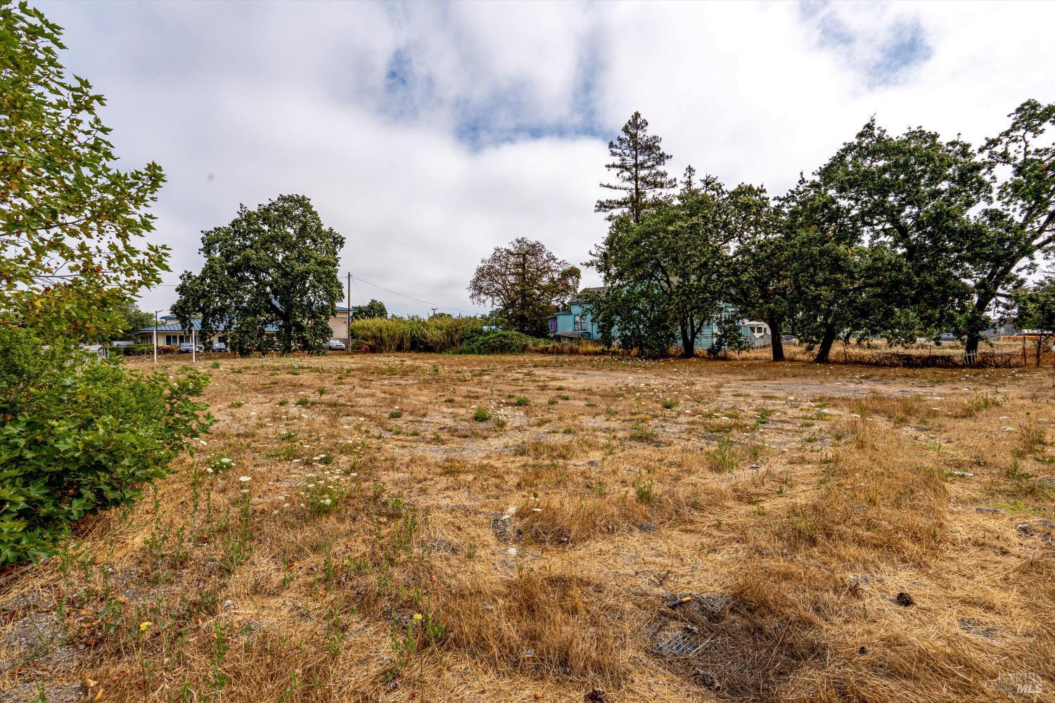 4025-4055 Sebastopol Road Santa Rosa, CA 95407 - Photo 17 of 19 a view of yard with trees
