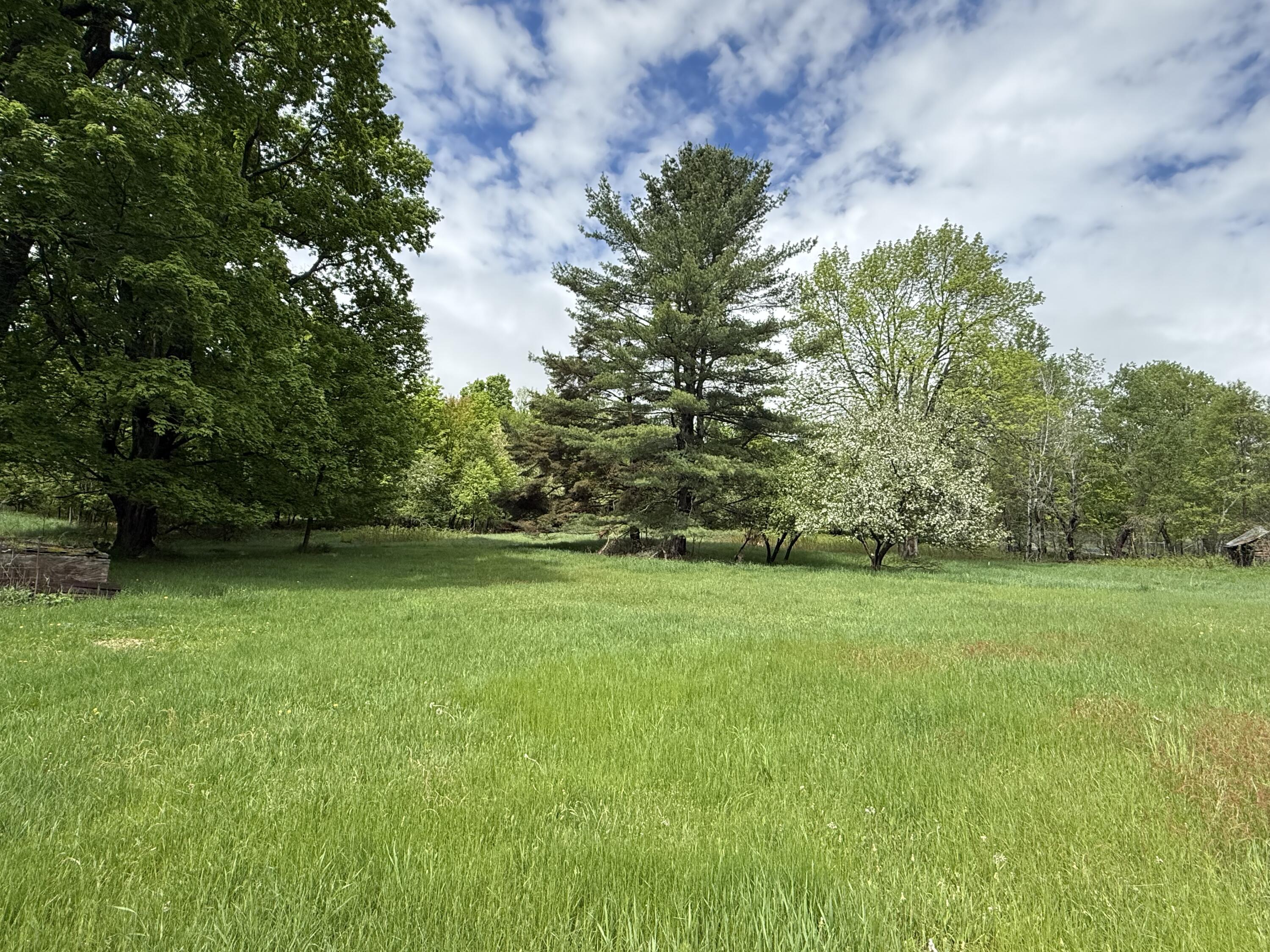 67 Nashville Road Saranac, NY 12981 - Photo 19 of 21