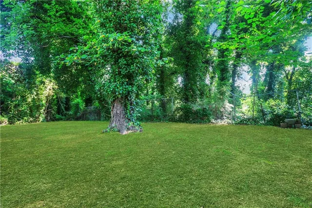 a view of a lush green space