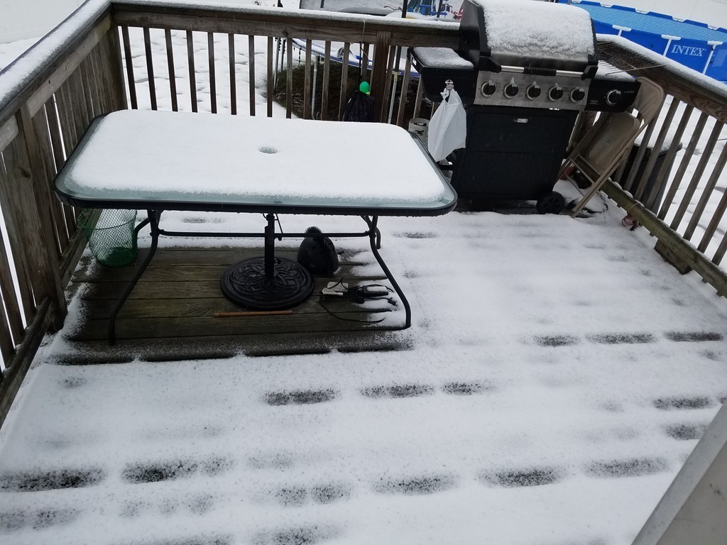 34 Daisy Lane Fall River, MA 02721 - Photo 5 of 19