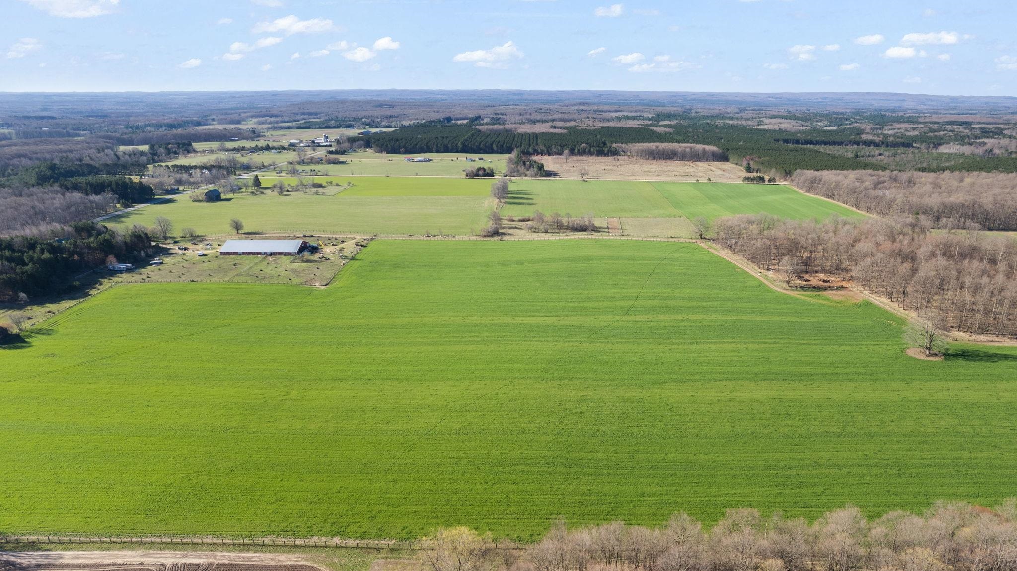 Tbd Blackman Road Kingsley, MI 49649 - Photo 12 of 20