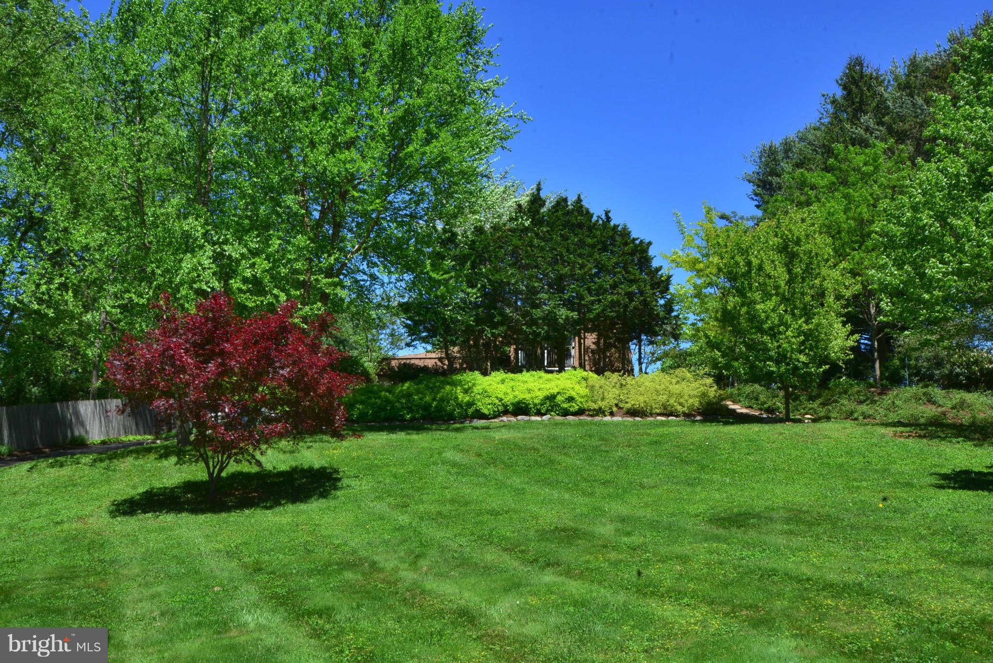 2103 Laurel Brook Road Fallston, MD 21047 - Photo 29 of 30 a view of a yard with plants and large trees