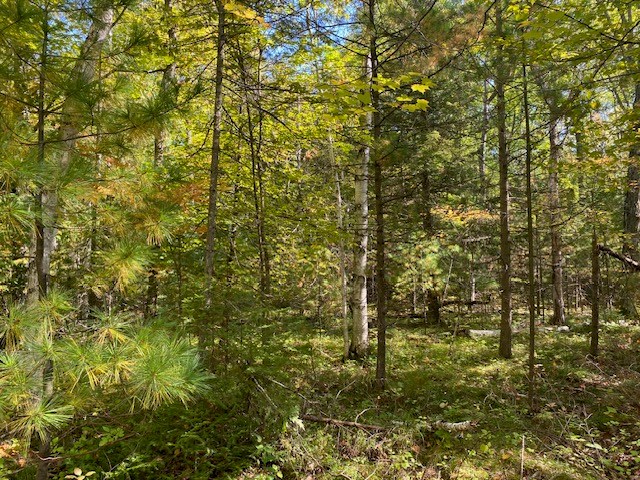 8658 Spring Road Fish Creek, WI 54212 - Photo 13 of 18 Gallery Image 13