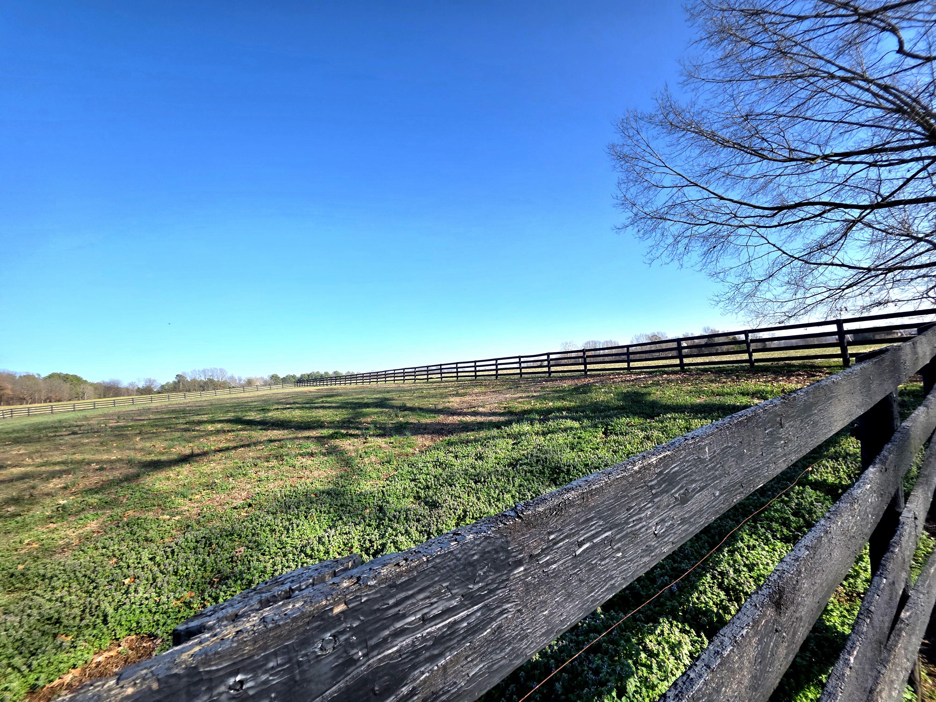 1498 Coopertown Road Murray, KY 42071 - Photo 12 of 42 20260308_163744
