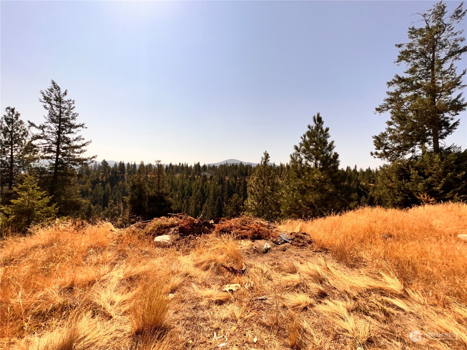 74 Fs 3230 Road Tonasket, WA 98855 - Photo 34 of 38 Gallery Image 34