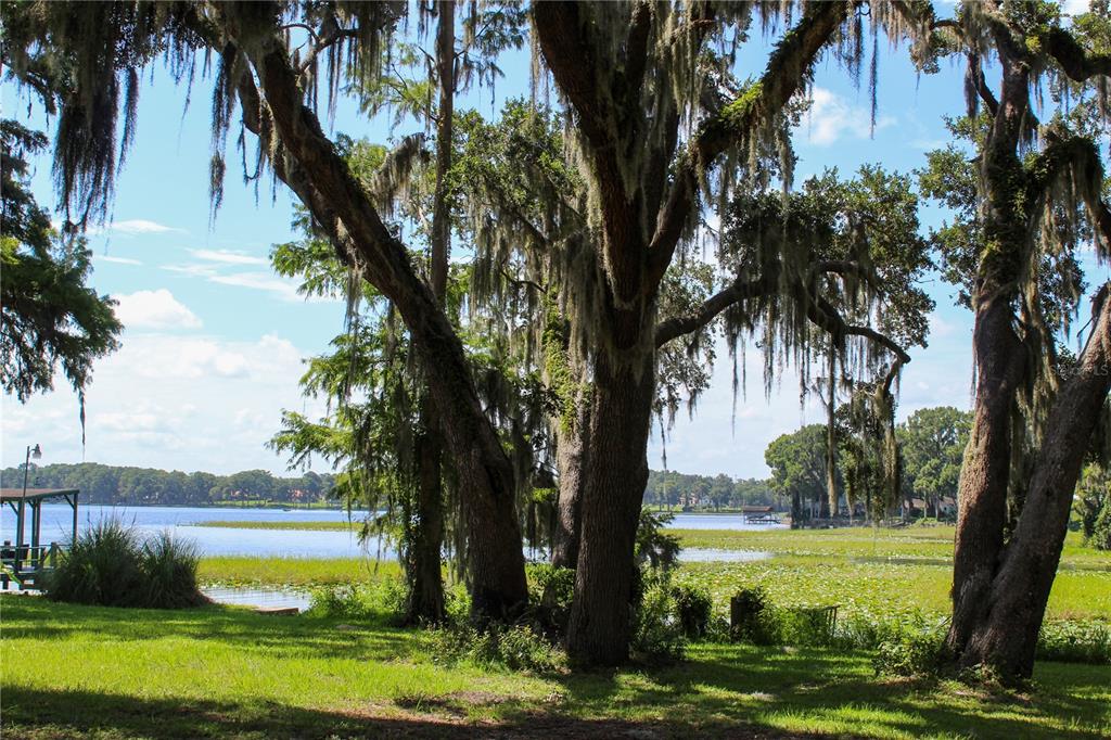 407 Hunting Lodge Drive Inverness, FL 34453 - Photo 16 of 16 a view of a yard with a palm trees