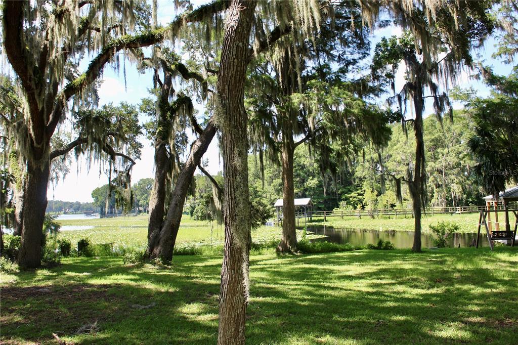 407 Hunting Lodge Drive Inverness, FL 34453 - Photo 8 of 16 a view of a park