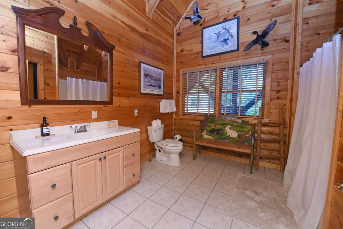 2682 Douthit Road Mineral Bluff, GA 30559 - Photo 46 of 60
