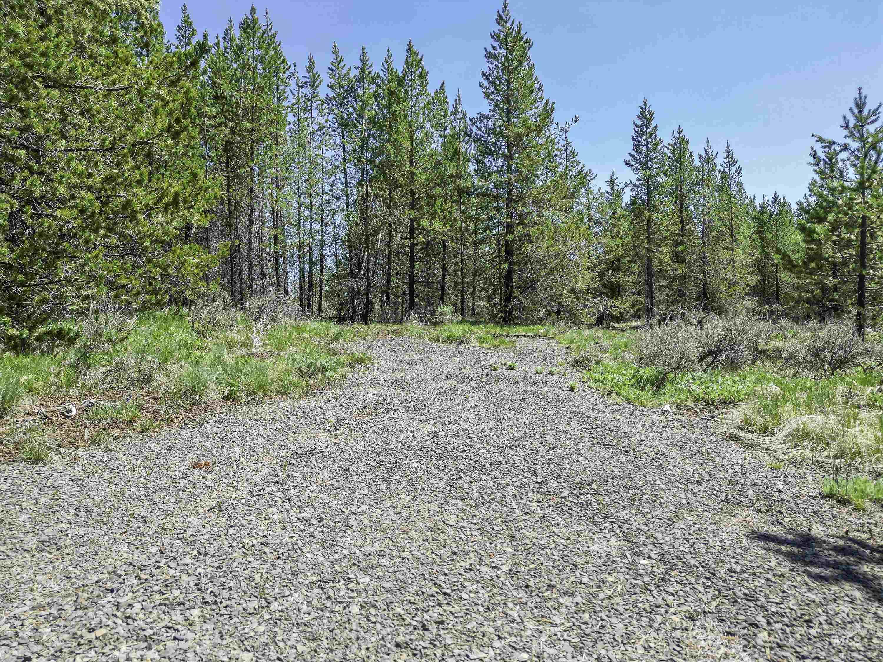 Tbd Deer Creek Road Winchester, ID 83555 - Photo 11 of 39
