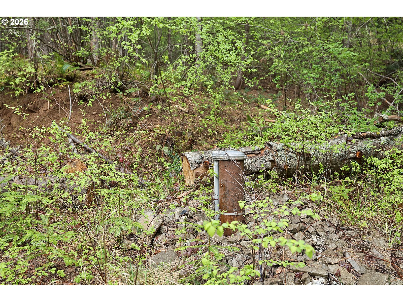 565 Canyon Road Lyle, WA 98635 - Photo 26 of 32