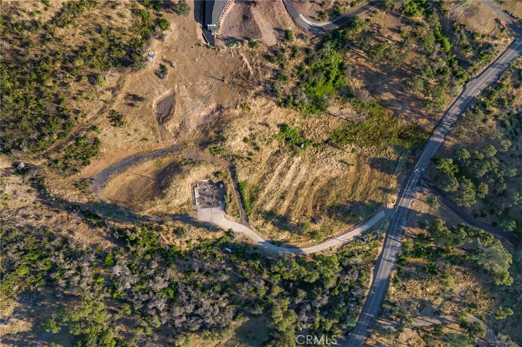 2470 Honey Run Road Chico, CA 95928 - Photo 15 of 71 a view of a tree in a forest