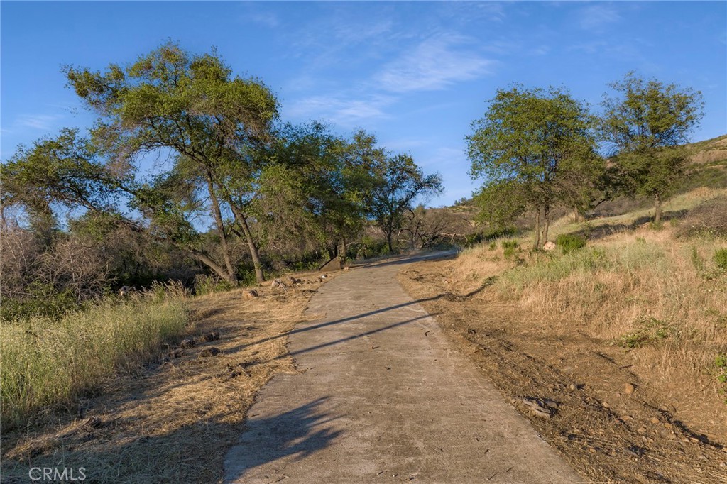 2470 Honey Run Road Chico, CA 95928 - Photo 23 of 71 a view of a yard with a tree